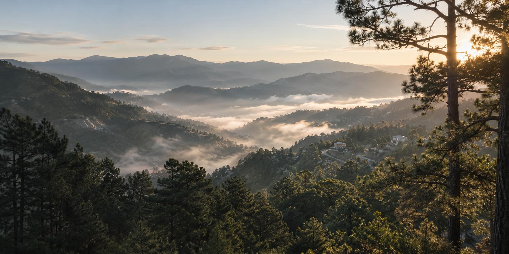 Illustrative pine-covered mountain slopes in soft morning mist